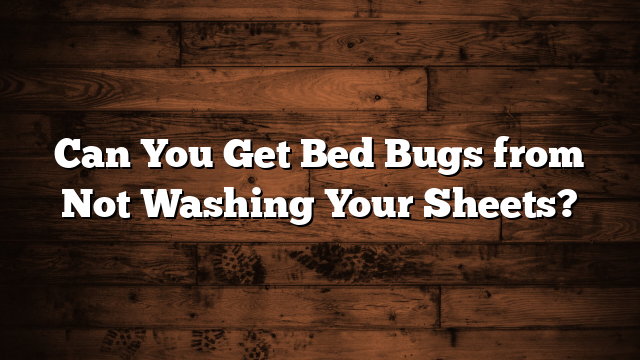 Can You Get Bed Bugs from Not Washing Your Sheets?