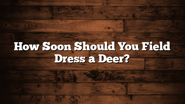 How Soon Should You Field Dress a Deer?