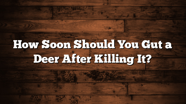 How Soon Should You Gut a Deer After Killing It?