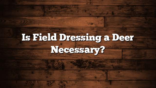 Is Field Dressing a Deer Necessary?