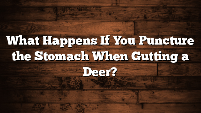 What Happens If You Puncture the Stomach When Gutting a Deer?
