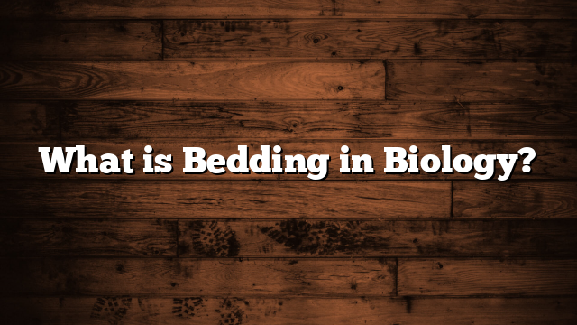 What is Bedding in Biology?