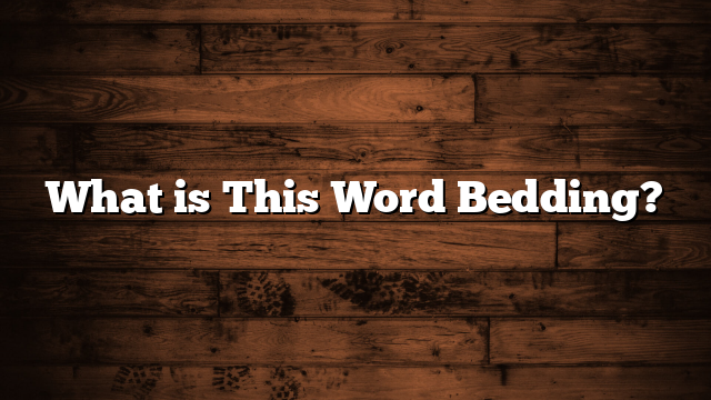 What is This Word Bedding?