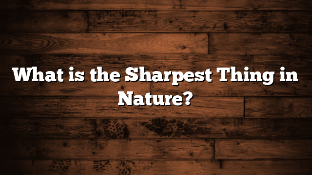 What is the Sharpest Thing in Nature?