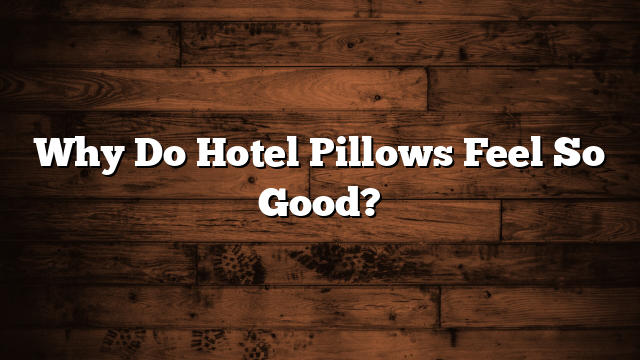 Why Do Hotel Pillows Feel So Good?