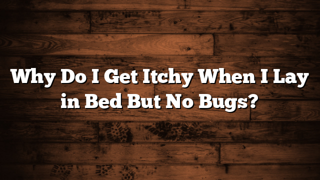 Why Do I Get Itchy When I Lay in Bed But No Bugs?