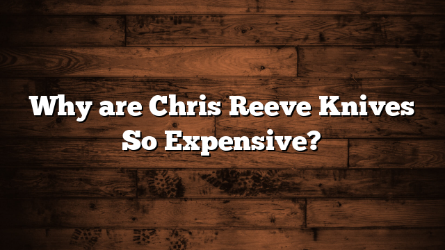 Why are Chris Reeve Knives So Expensive?
