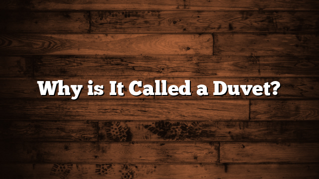 Why is It Called a Duvet?