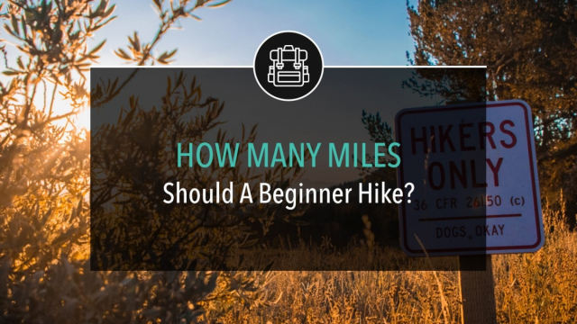 How Many Miles Should a Beginner Hike?