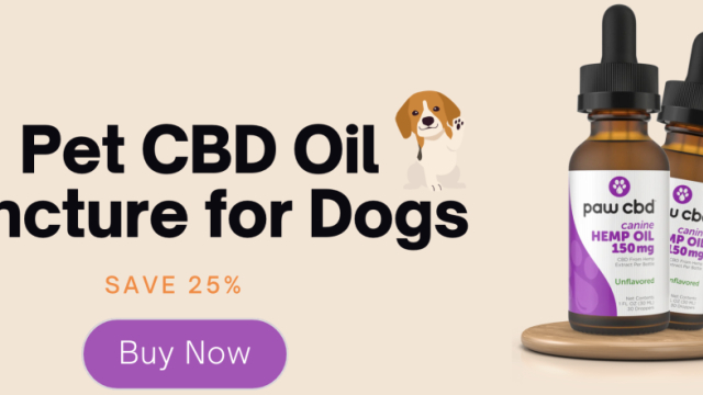 Benefits Of CBD Oil For Dogs: Unlocking the Potential of Cannabidiol
